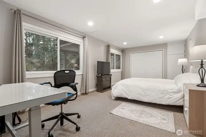 LARGE lower level bedroom