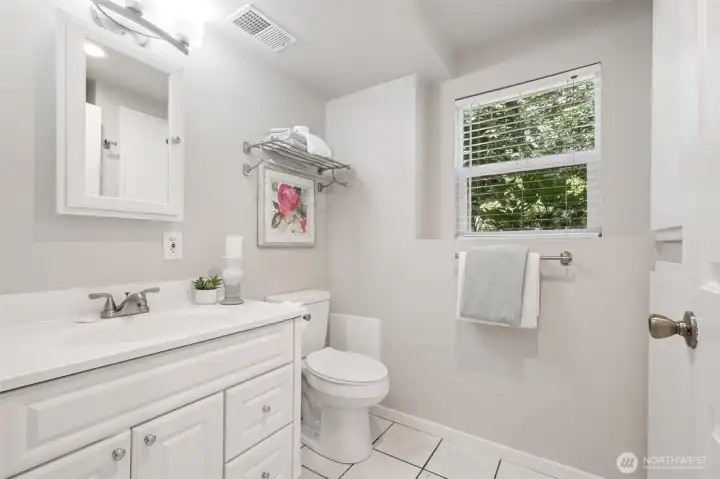 Lower level bathroom