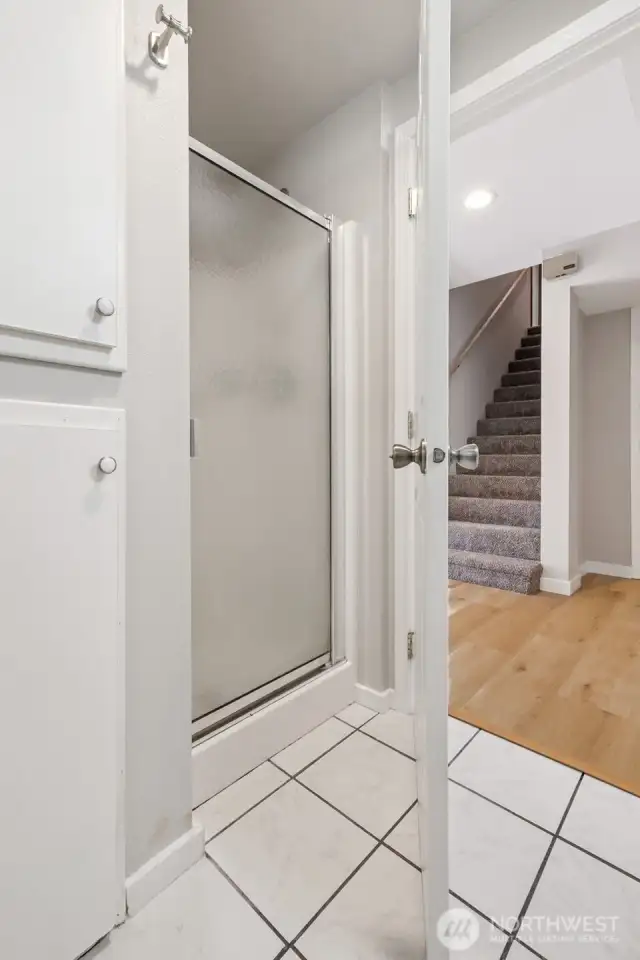 Lower level bathroom