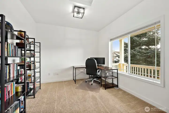 Sizable den/office