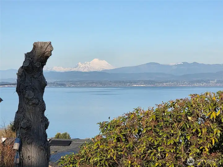 View from Camano Country Club.