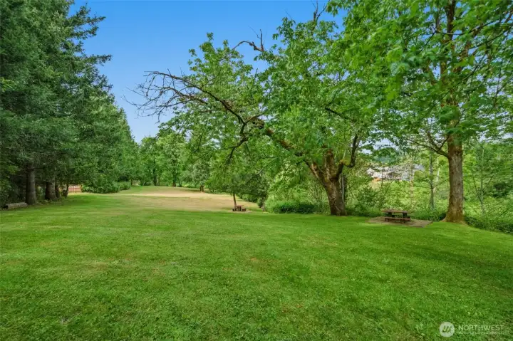 Community Park