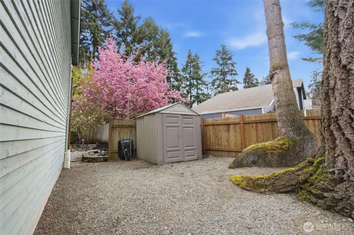 Here is the extra side yard with a shed and fully fenced. Check out the mature trees, so beautiful.