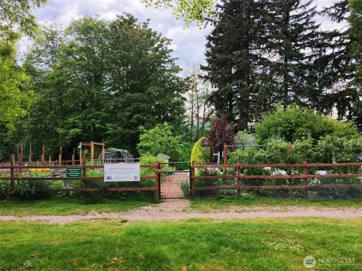 community garden