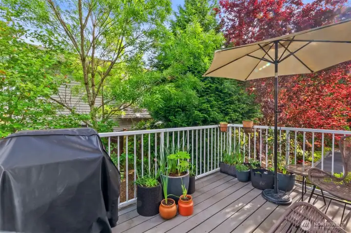 Quiet, private balcony deck - great for easy bbq, sunshine and play. Quiet, private balcony deck - great for easy bbq, sunshine and play.