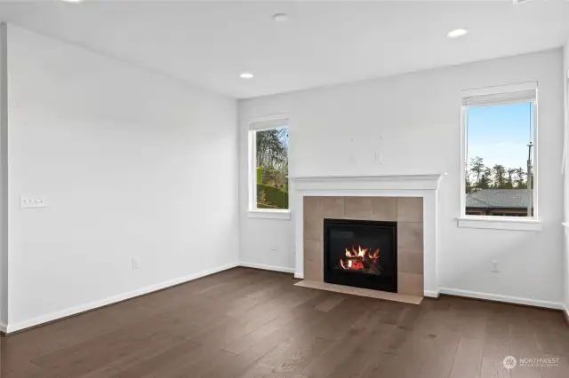 Living room Fireplace