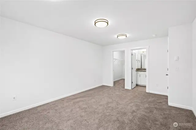 Lower level bedroom. Walk-in closet & bath entry.