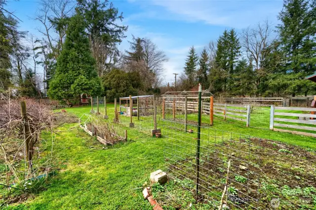 Garden Time