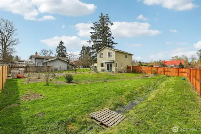 Back Yard