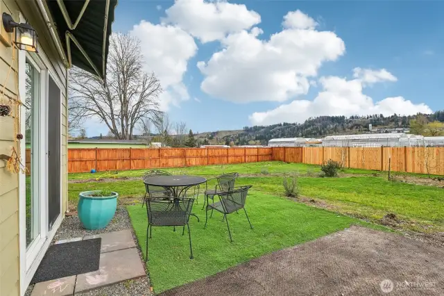 Back Yard