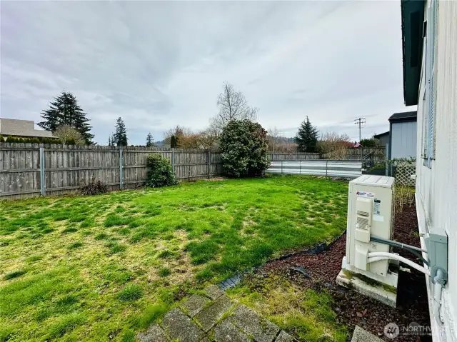 back yard