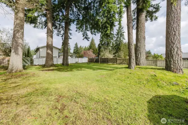 Huge Fenced Backyard