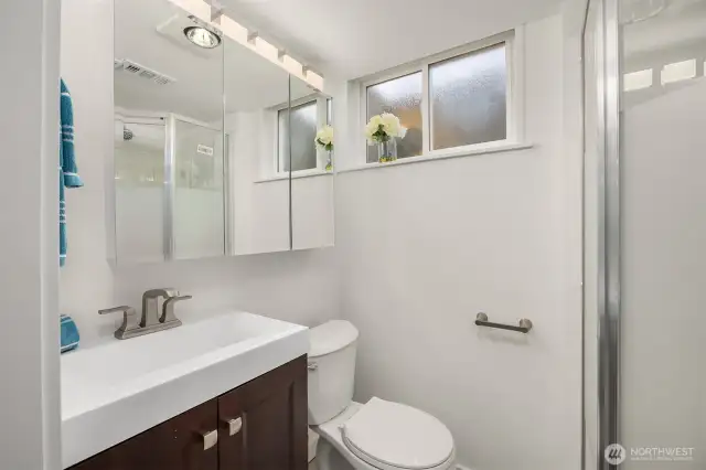 Lower level bathroom