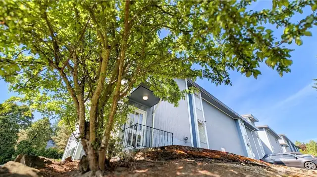 Lush trees surround the peripheral areas of the condo building.   Two allocated parking bays near the entrance- 1 flight to Unit N-301. Newer roof and piping.