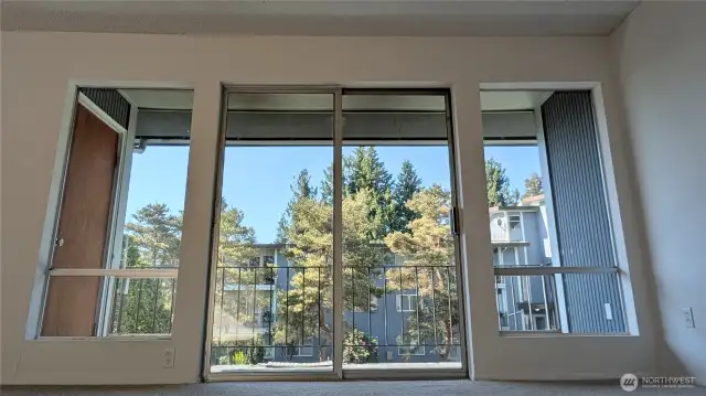 Large windows and sliding door.
