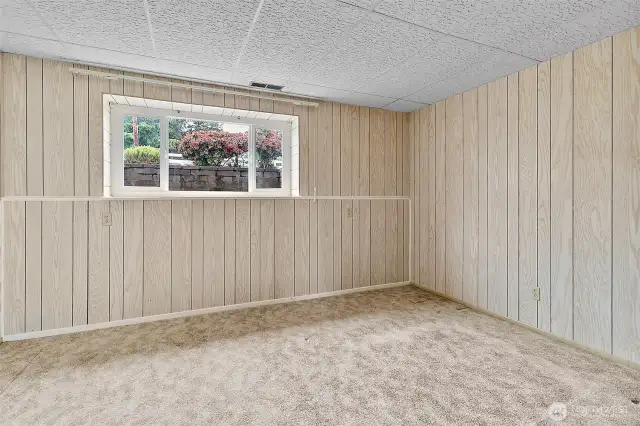 Lower level Bedroom #3