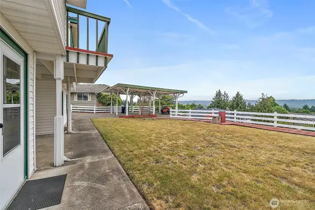 Back Yard