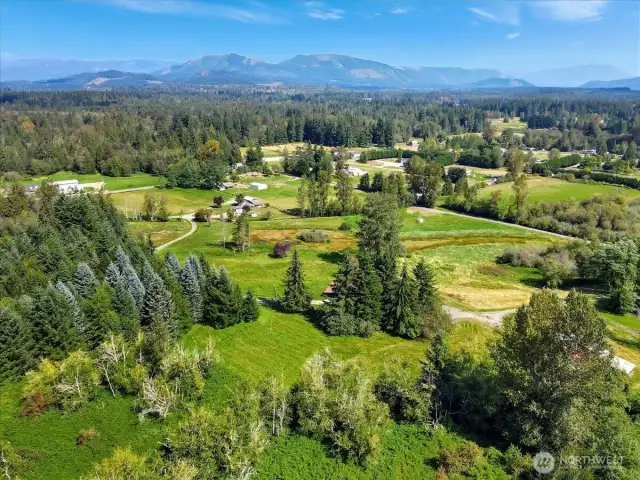 28 acres teeming with wildlife, lush meadows, a natural pond, and a flowing stream.