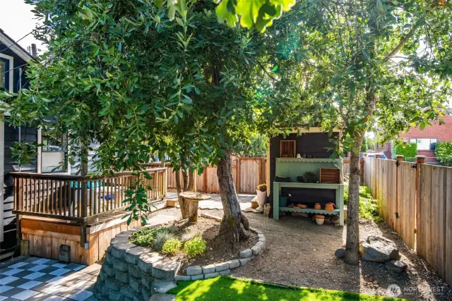 Primary Yard