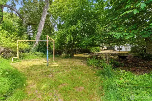 Back corner of property looking back at house. There is more acreage behind the camera