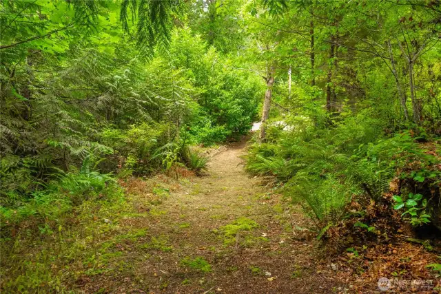 Path to creek