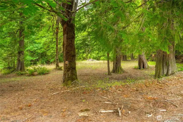 Property across road is part of this parcel