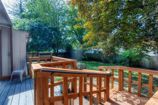 New railing and steps ~ built to accommodate a walker.