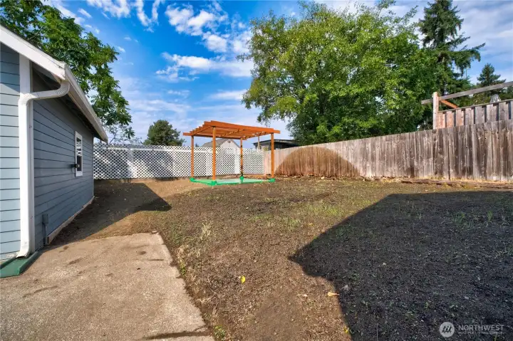 Back yard, re-seeded