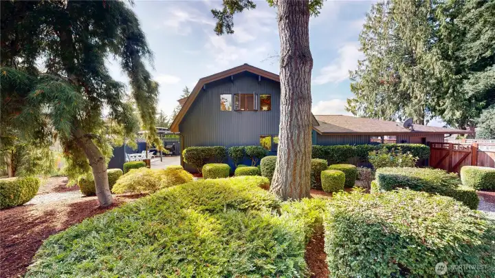 Beautifully landscaped backyard with mature trees and shrubs
