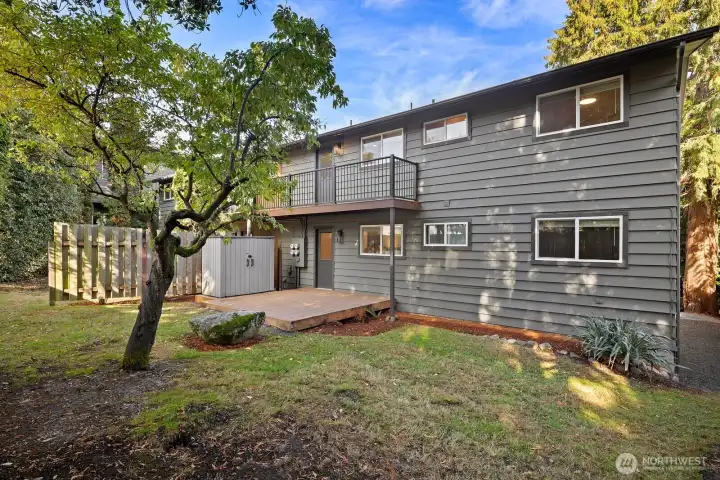 Fully fenced back yard