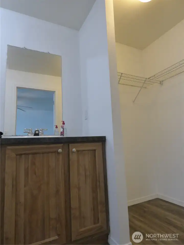 Primary Bath, Walk-In Closet