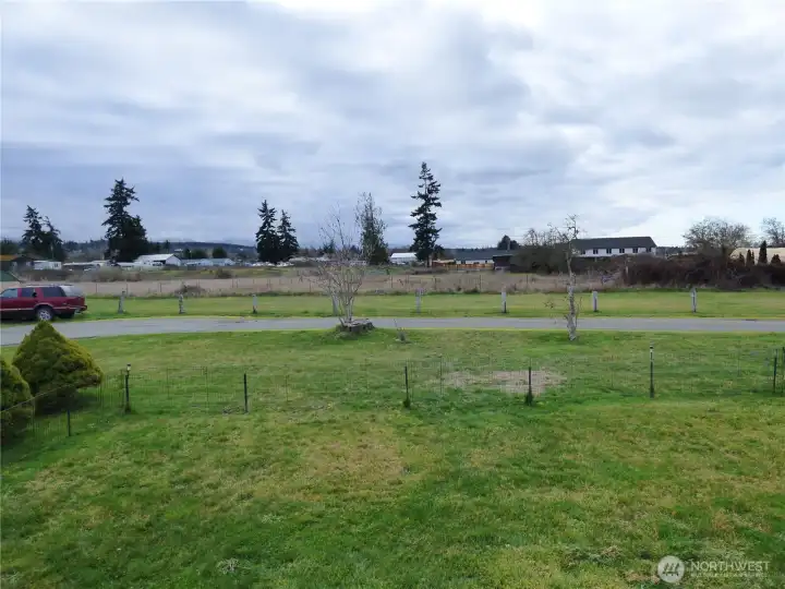 Fenced-in Front Yard