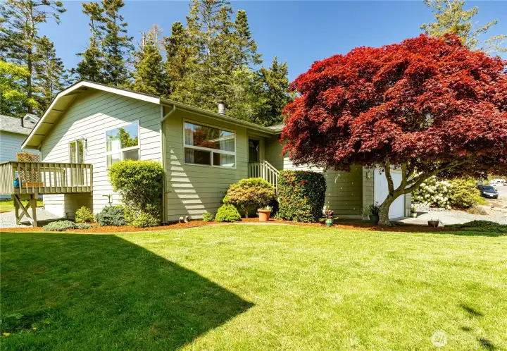 Wonderful yard with mature landscaping