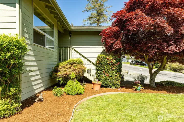 Front yard has a wonderful Japanese Maple with vibrant color