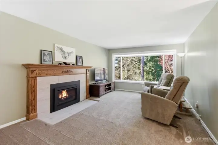 Living room with gas fireplace