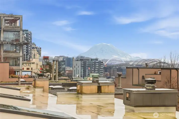 View from unit living room.