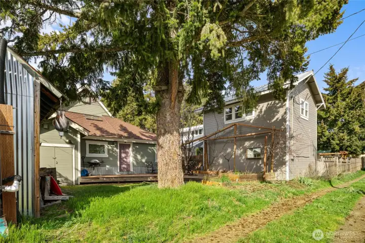 View of the rear alley looking back on the back yard. See mature trees, the allow for great shade in the summer.