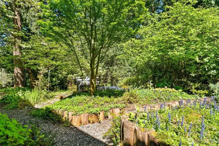 Peaceful walking path on the property.