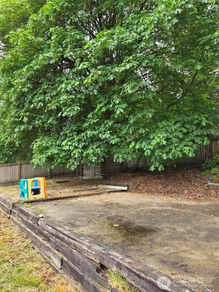 Upper deck with cool tree in corner of yard.