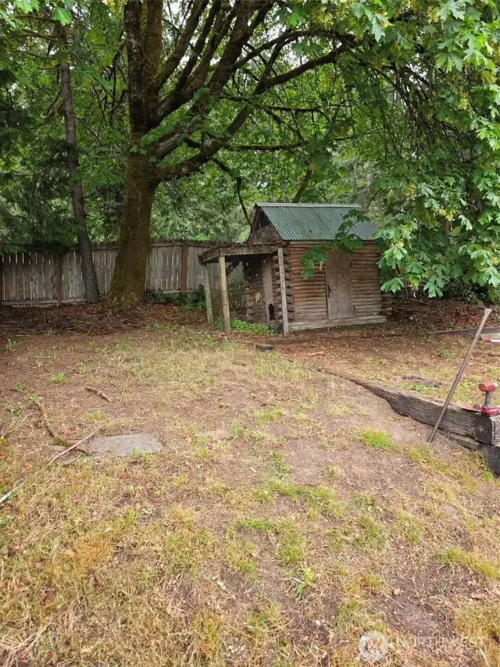 Old Chicken coop under large tree in back yard.  Fix it up??