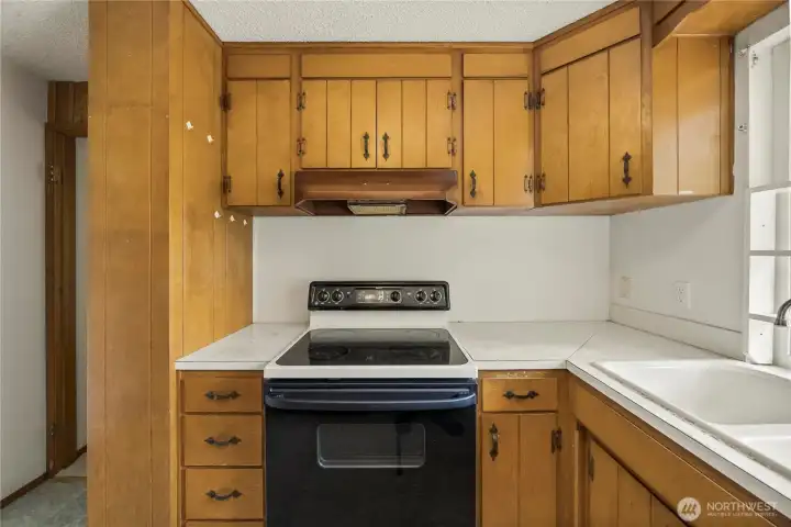 Plenty of cabinets for use as-is, until renovations are made.