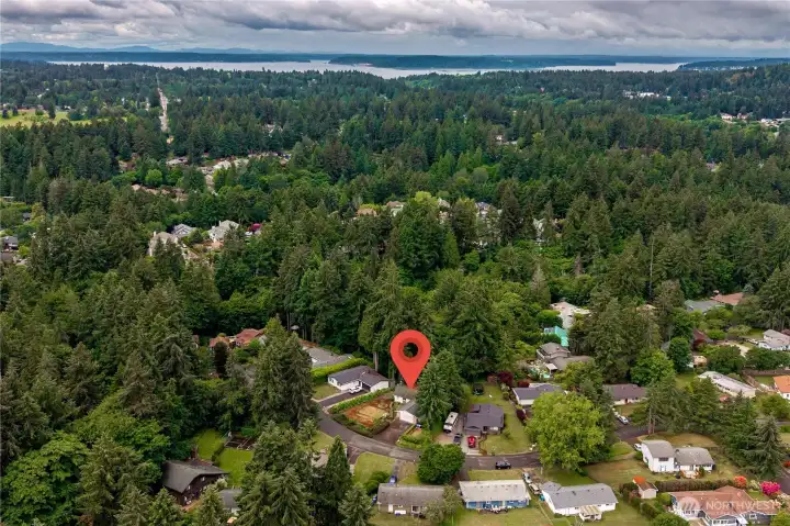 Aerial view of the neighborhood tucked off of Bridgeport Way.