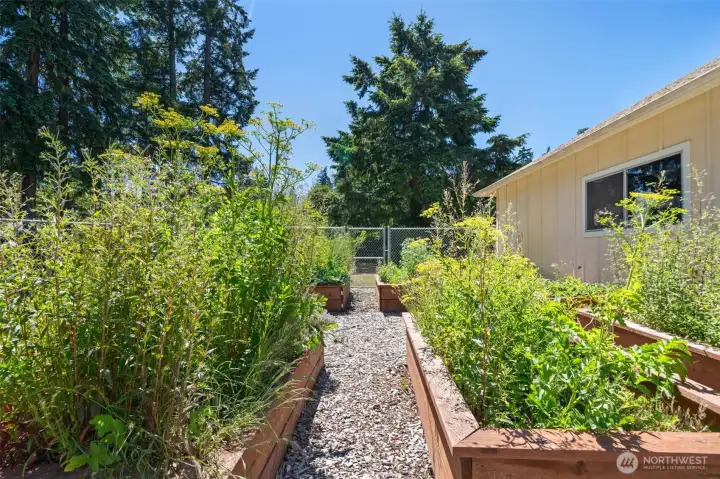 Another Raised Garden Bed View Another Raised Garden Bed View
