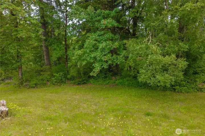 Flat land for dream home build Flat land for dream home build