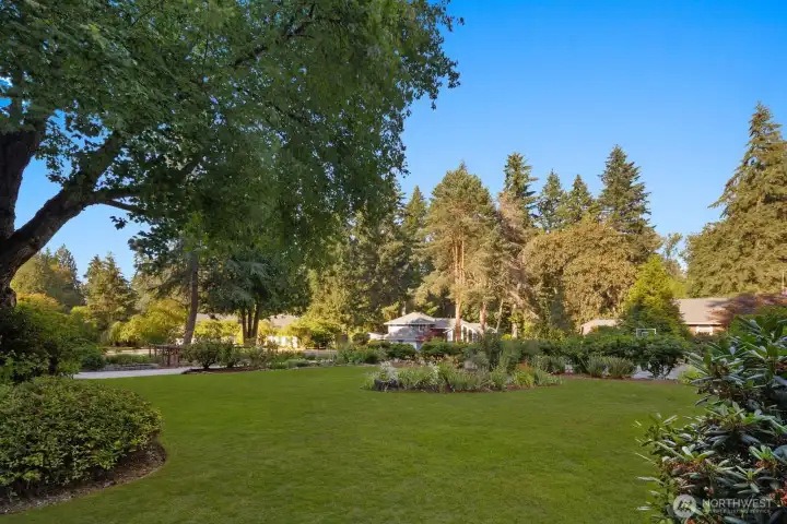 Oversized lot .92acre lot