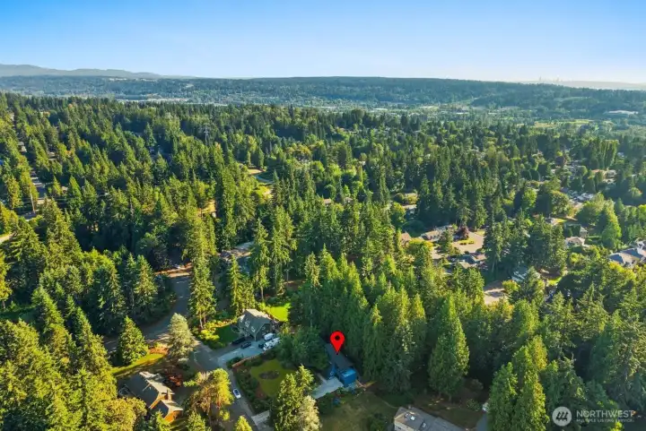 Mins from Microsoft, downtown, SR520 etc.