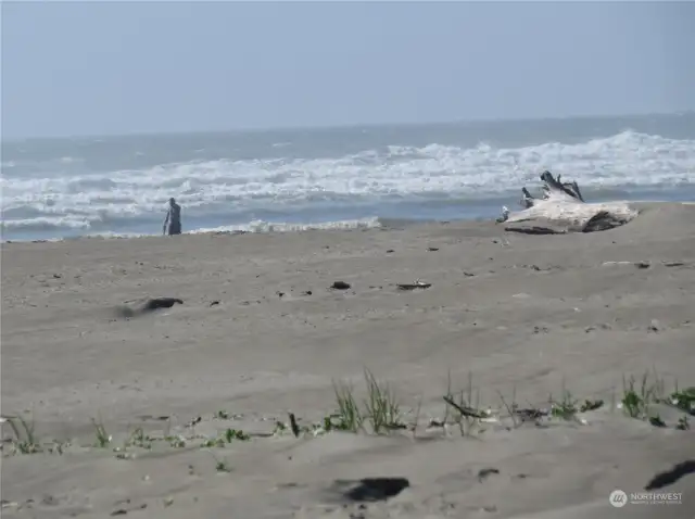JUST A FEW BLOCKS AWAY IS THE PACIFIC OCEAN FOR THE BEST BEACH COMBING!