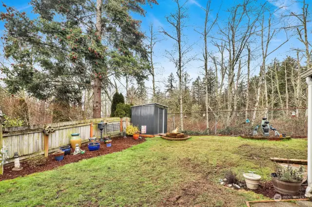 West facing back yard.
