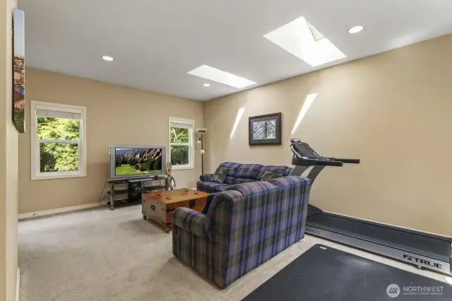 . The media or rec room is located through a door right off the family room; a nice square room to enjoy a multitude of activities.