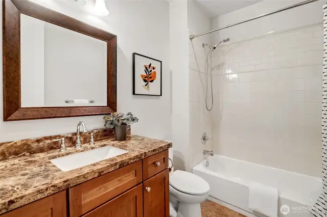 Lower level full bath.